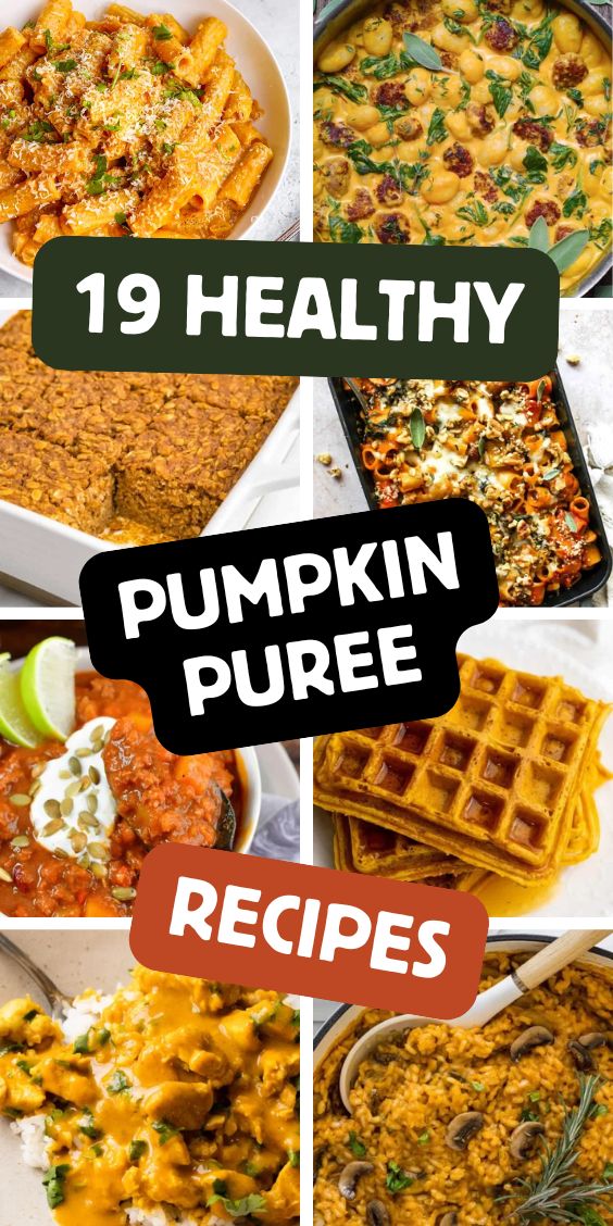 19 Healthy pumpkin puree Recipes