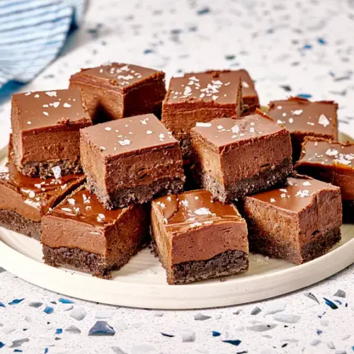 20250421 SEA NoBakeFudgyChocolateSquares MorganGlaze Beauty1 2d3be09670754d099c965bc3888efcaf