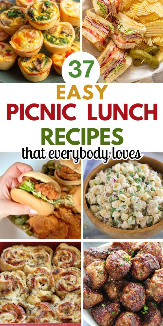 37 easy picnic lunch ideas