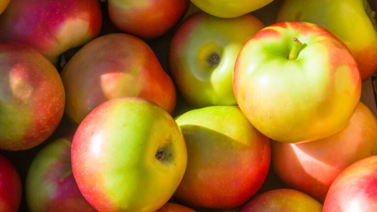 Are McIntosh Apples Good for Baking?