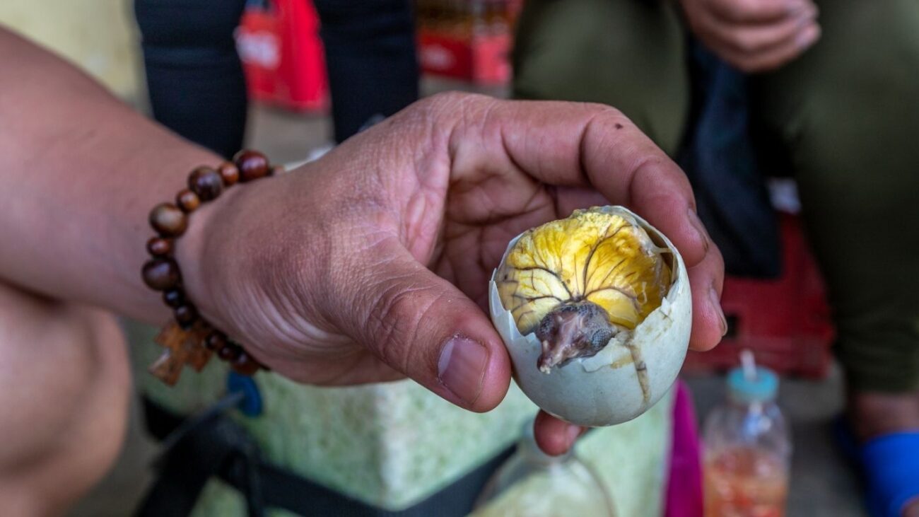 Balut