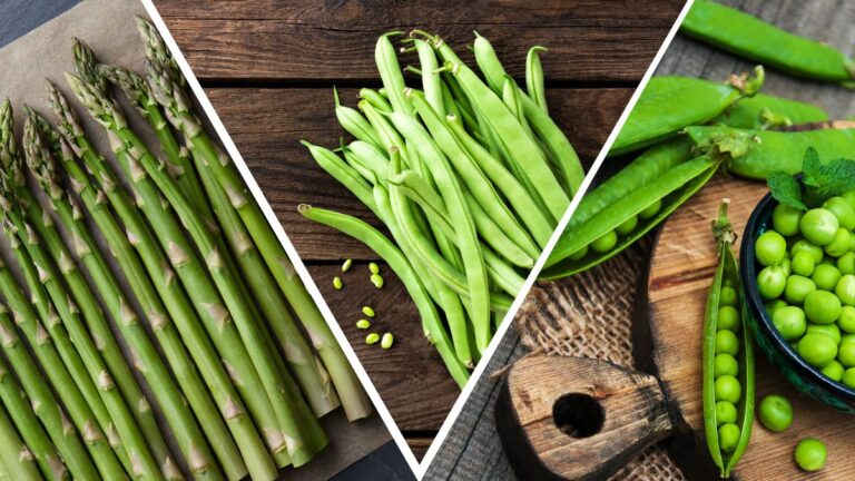 11 Best Green Beans Substitutes