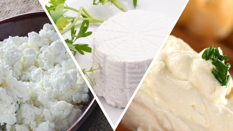 Best Ricotta Cheese Substitutes for Different Meals