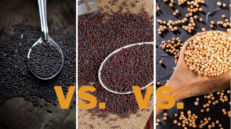 Black vs. Brown vs. Yellow Mustard Seeds: Differences