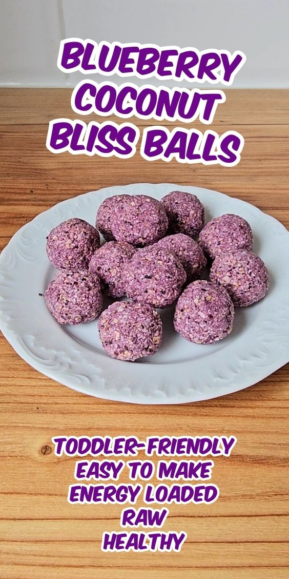 Blueberry Coconut Bliss Balls RECIPE 1