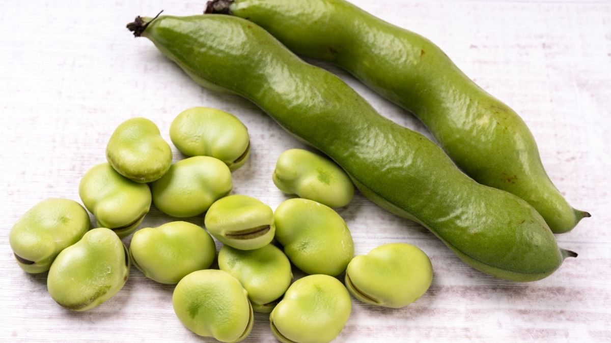 Broad Beans