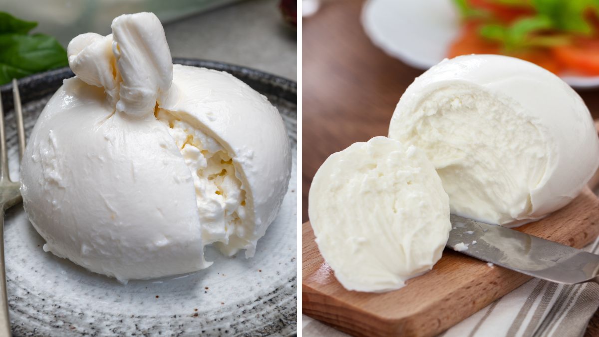 Burrata vs. Mozzarella