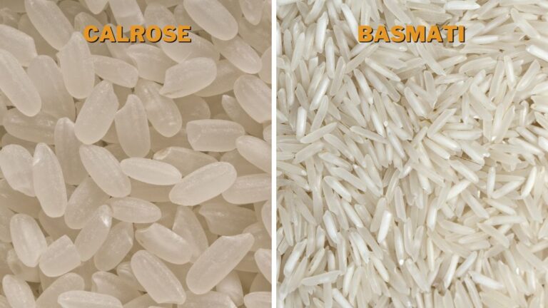 Calrose Rice vs. Basmati: Differences & All You Need to Know