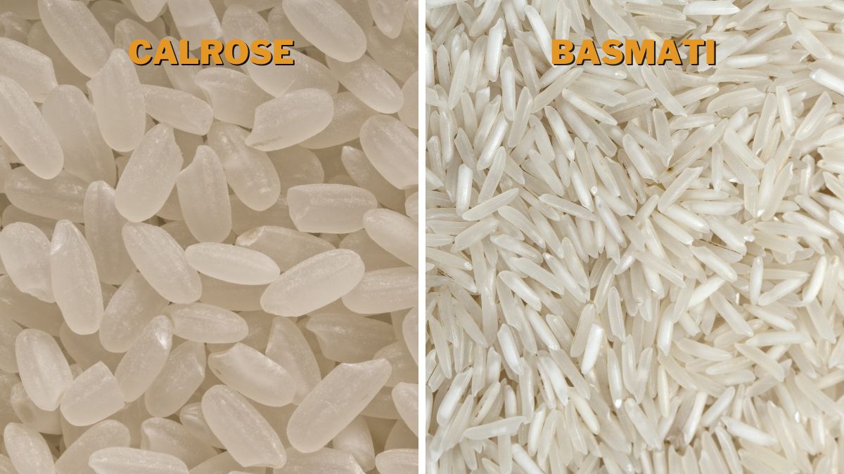Calrose Rice vs. Basmati Difference in Grains