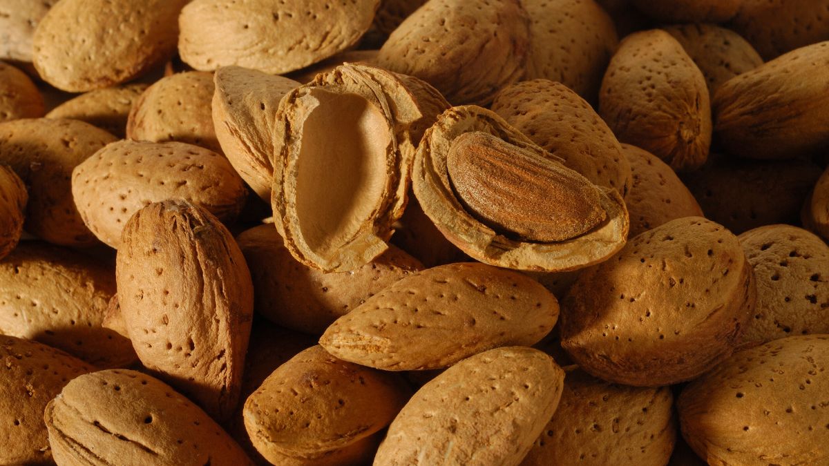 Can You Eat Almond Shells