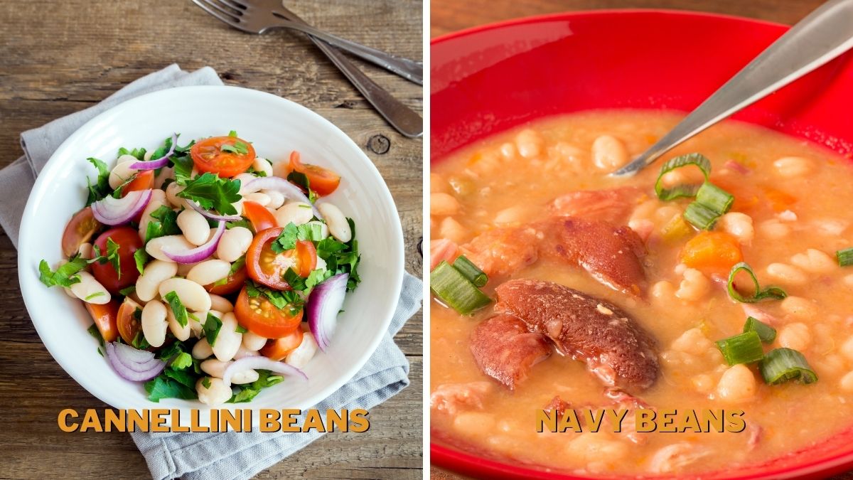 Cannellini Beans vs Navy Beans