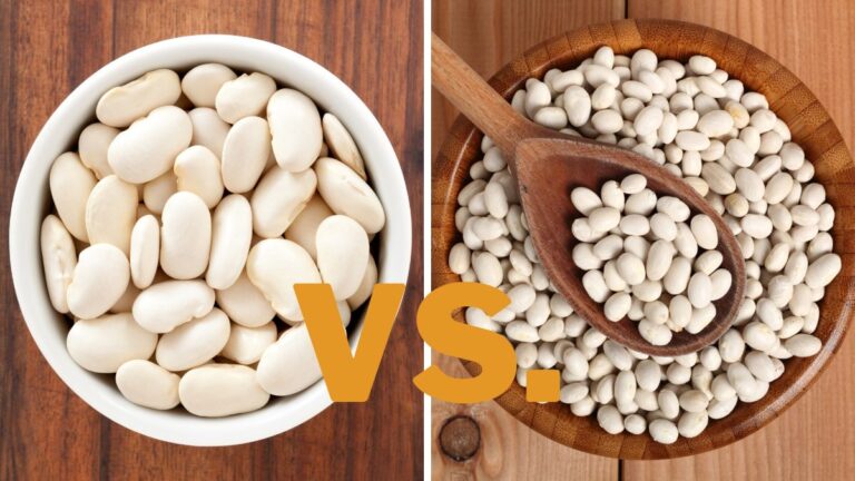 Cannellini Beans vs. Navy Beans: Differences & Which Is Better?