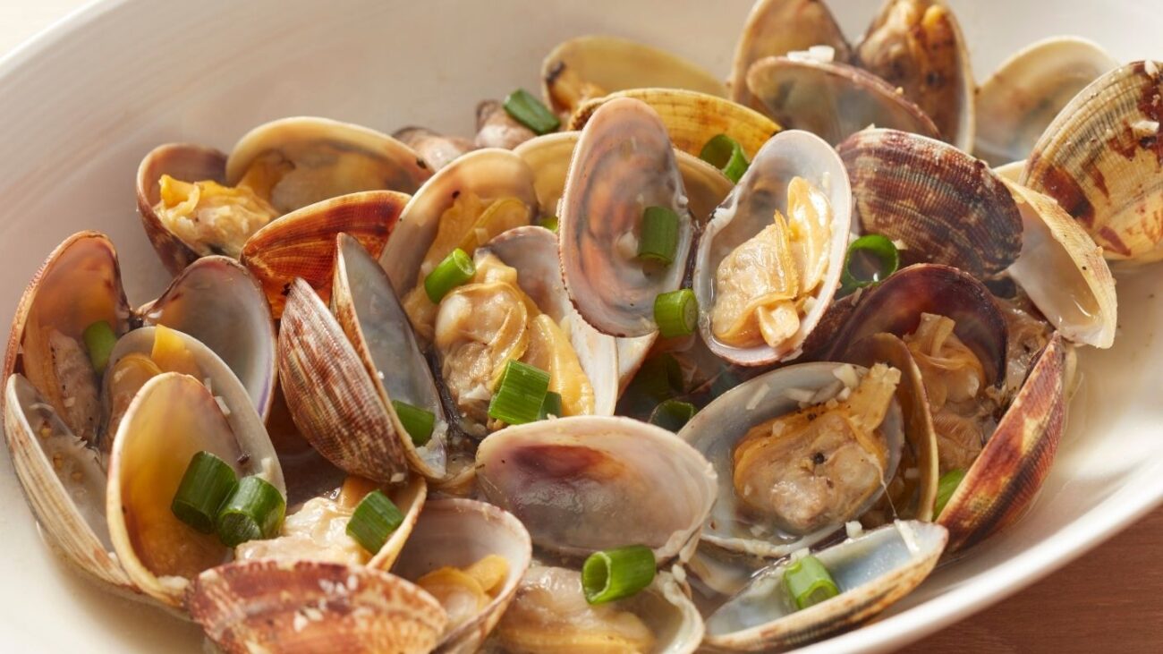 Cedar Key Clams 1