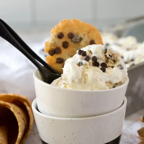 Chocolate Chip Cookie Dough Ice Cream 16