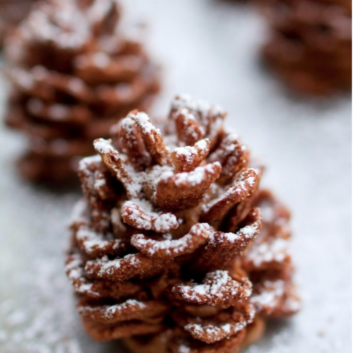 Chocolate Pinecones 681x1024 1