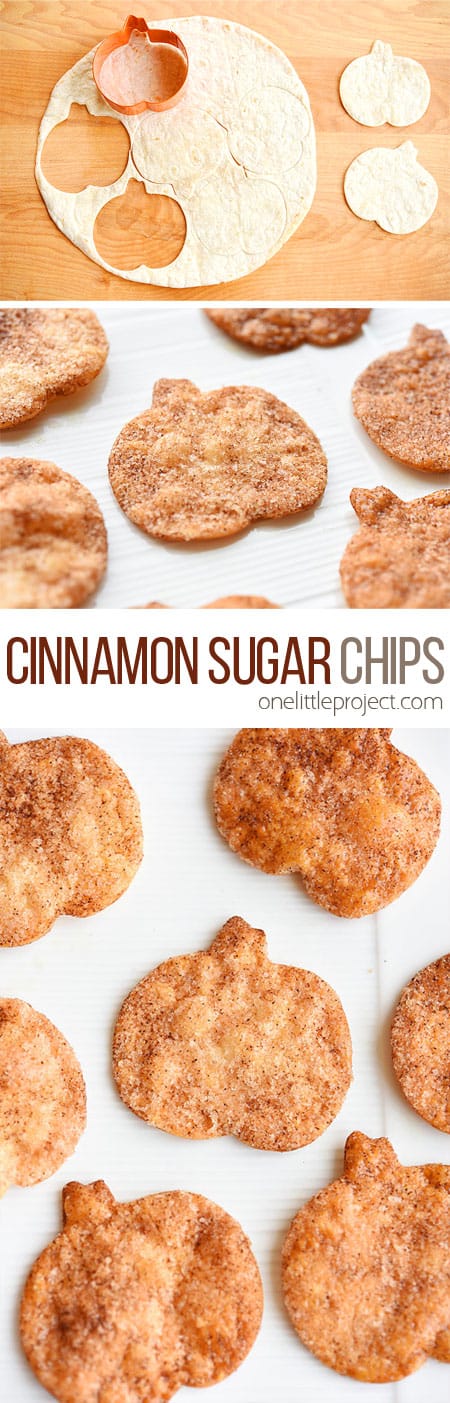 Cinnamon Sugar Chips2