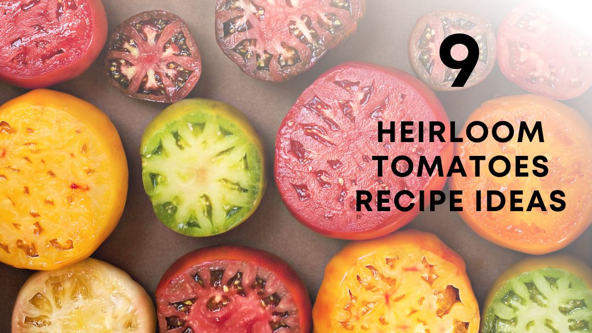 Delicious Heirloom Tomatoes Recipe Ideas