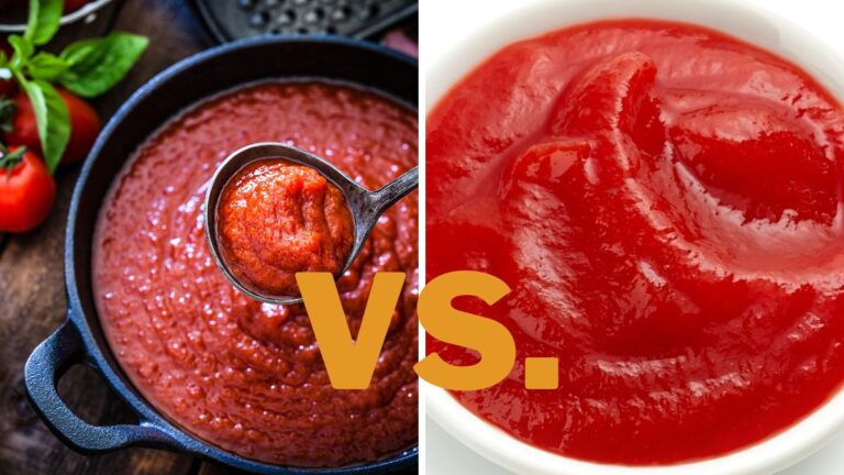 Domino’s Hearty Marinara Sauce vs. Robust Tomato: Differences