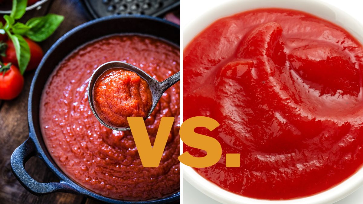 Domino's Hearty Marinara Sauce vs. Robust Tomato Differences
