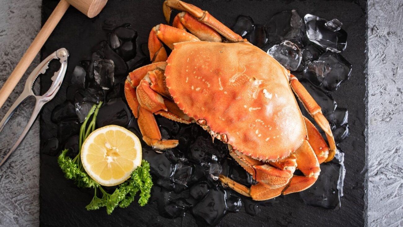 Dungeness Crab 1