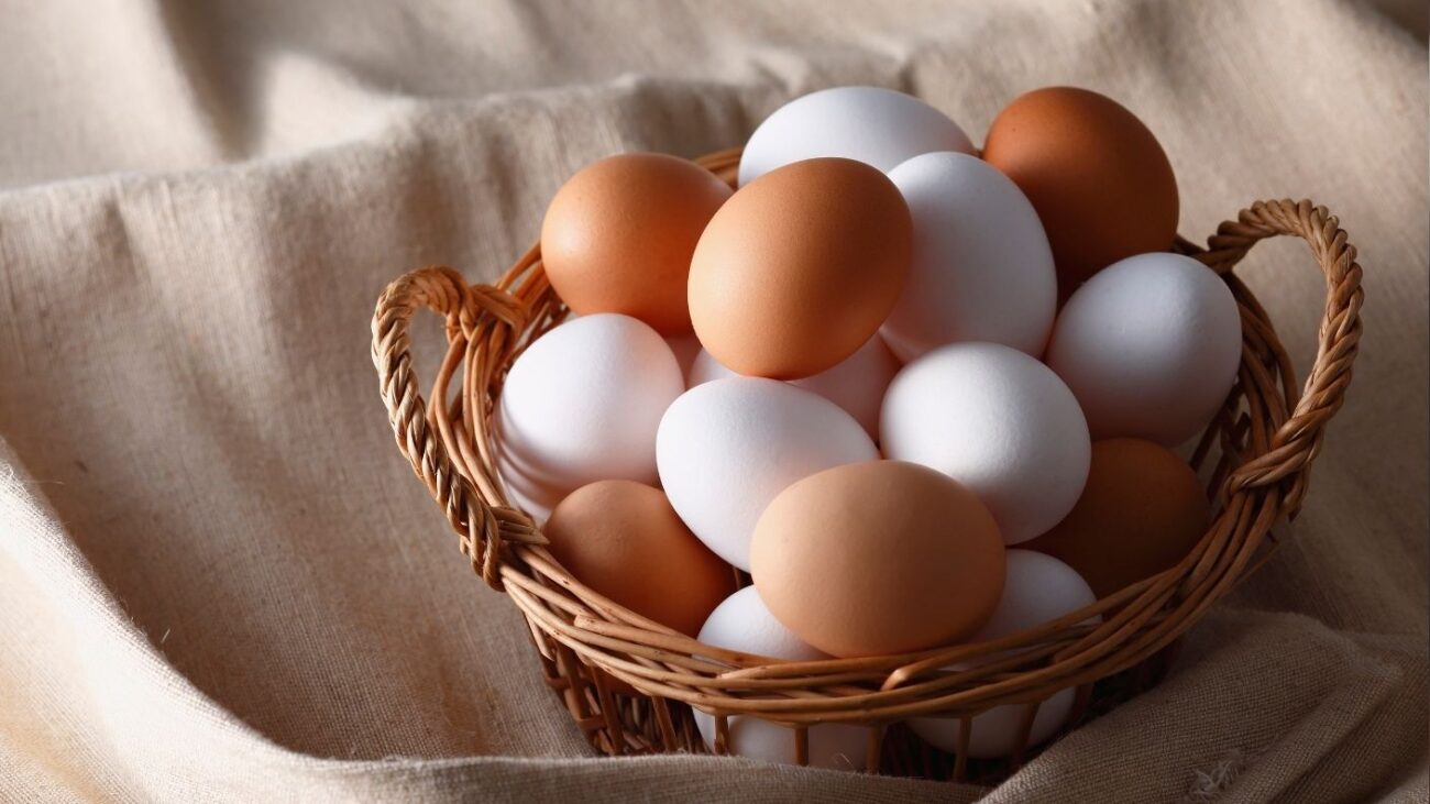 Eggs 2 1