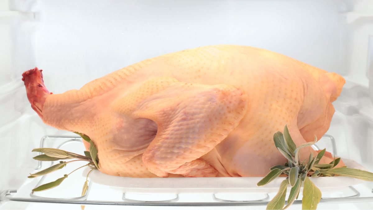 Fresh Raw Turkey Thawing in the Fridge