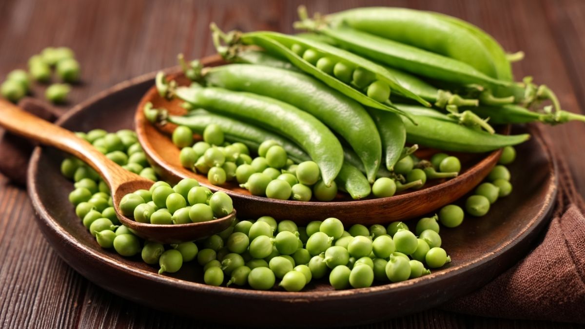 Garden Peas
