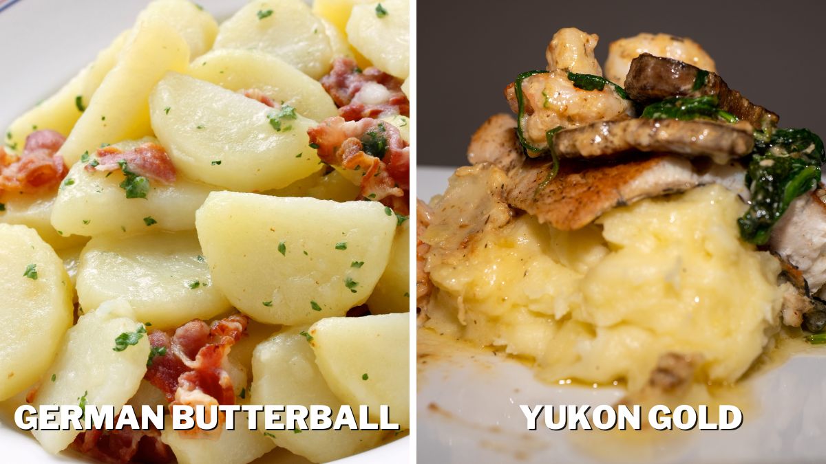German Butterball Boiled and Yukon Gold Mashed