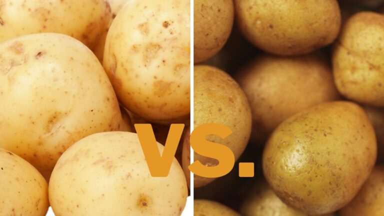 German Butterball Potato vs. Yukon Gold: Differences & Uses