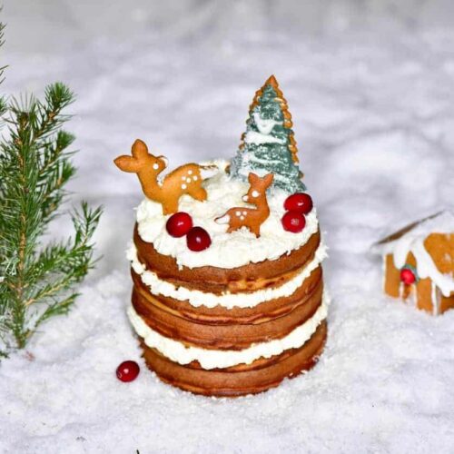 GingerBreadPancakes 23 of 25