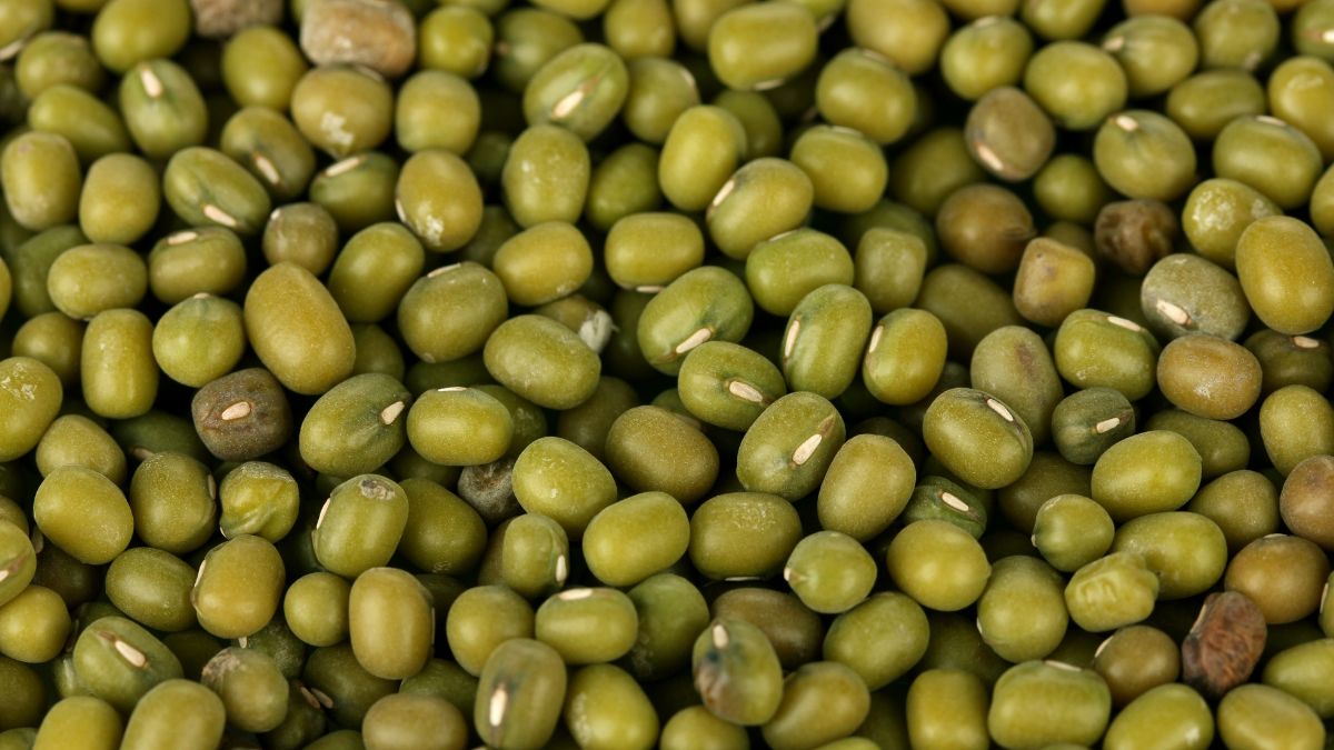 Green Mung Beans Closeup