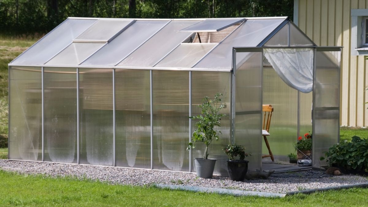 Greenhouse