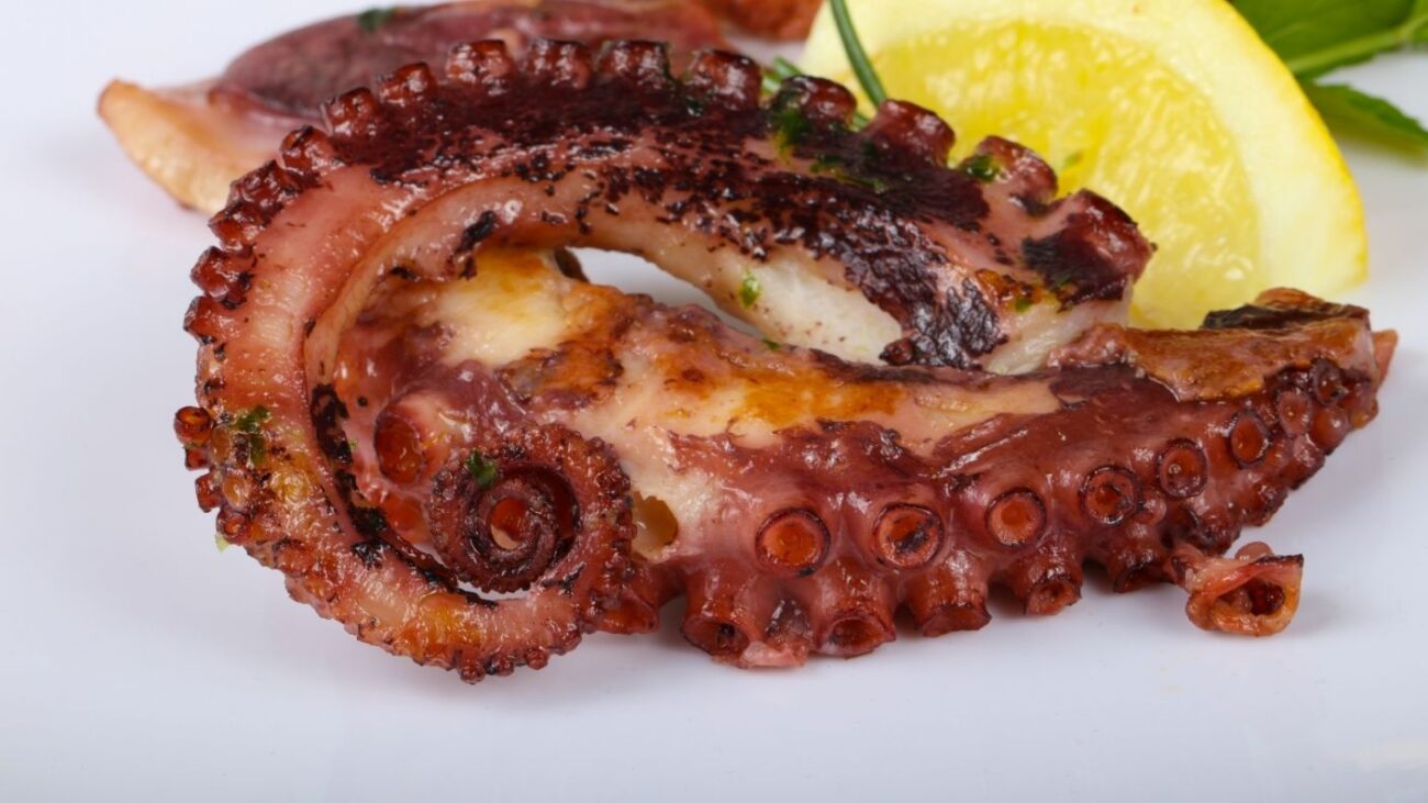 Grilled Octopus