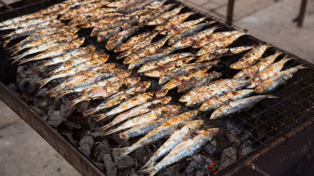 Grilled Sardines