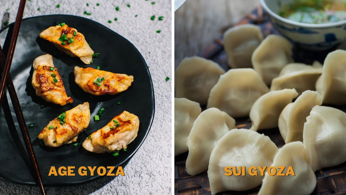 Gyoza vs. Dumplings