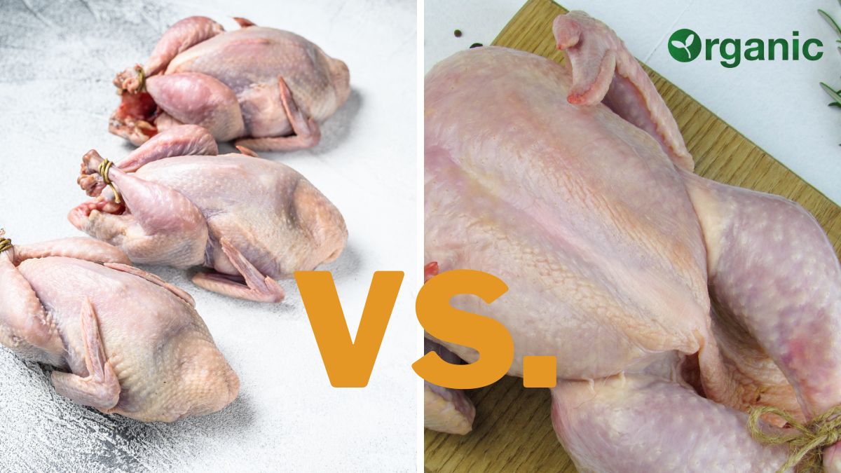 Heirloom vs. Organic Turkey