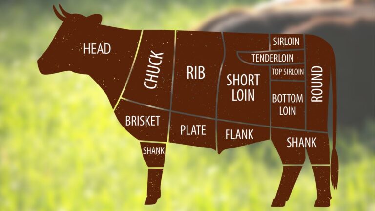 How Many Steaks In a Cow? Porterhouse, T-Bone, Ribeye…