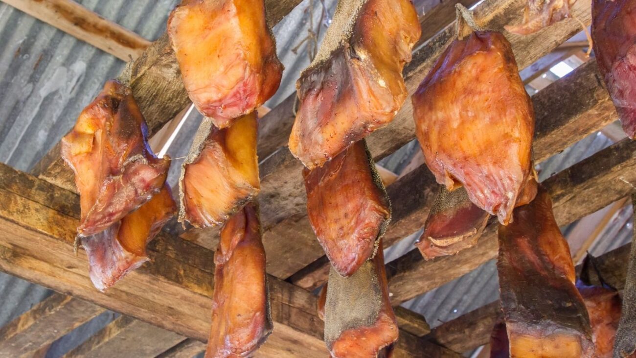 Icelands Fermented Shark