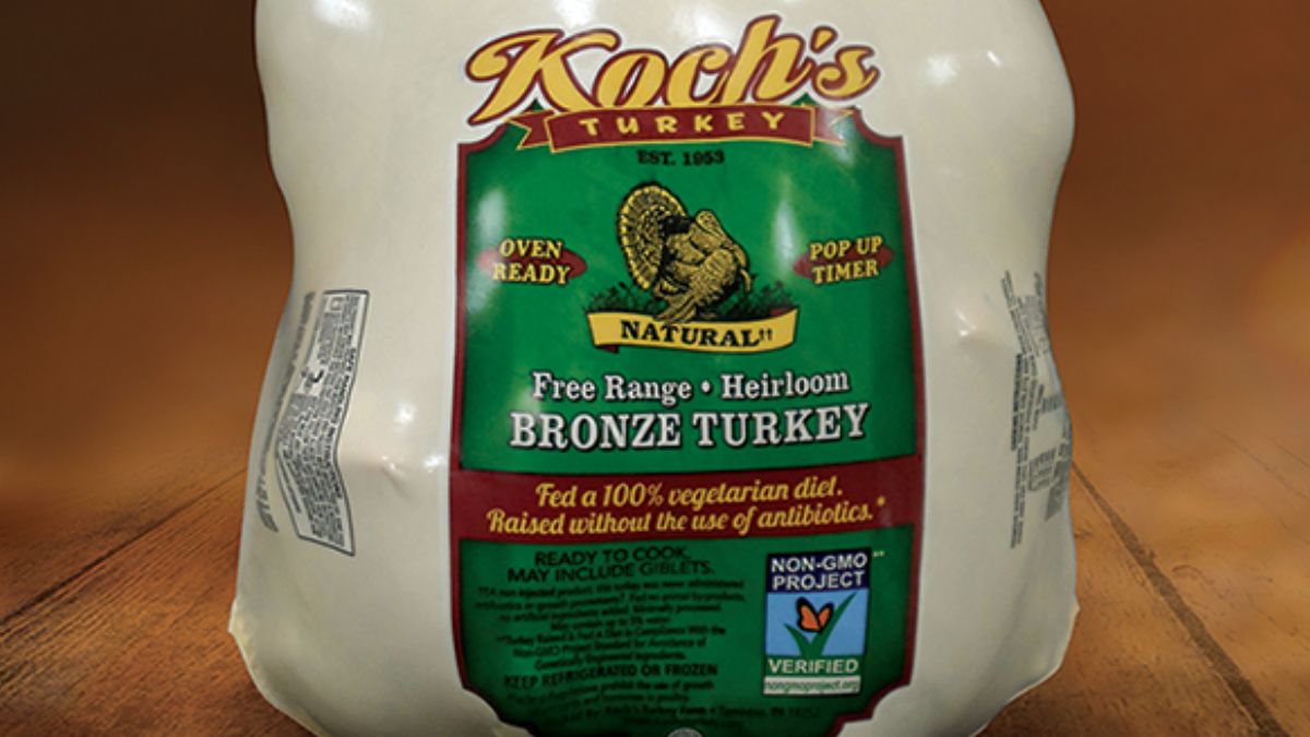 Koch's Bronze Turkey