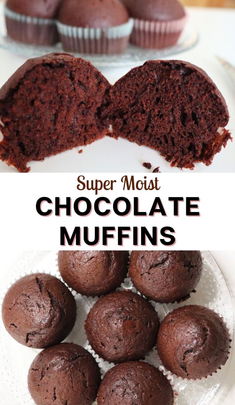 MOIST chocolate muffin recipe