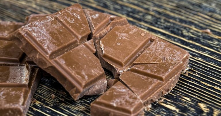 Maggots in Chocolate: Do You Need to Worry?