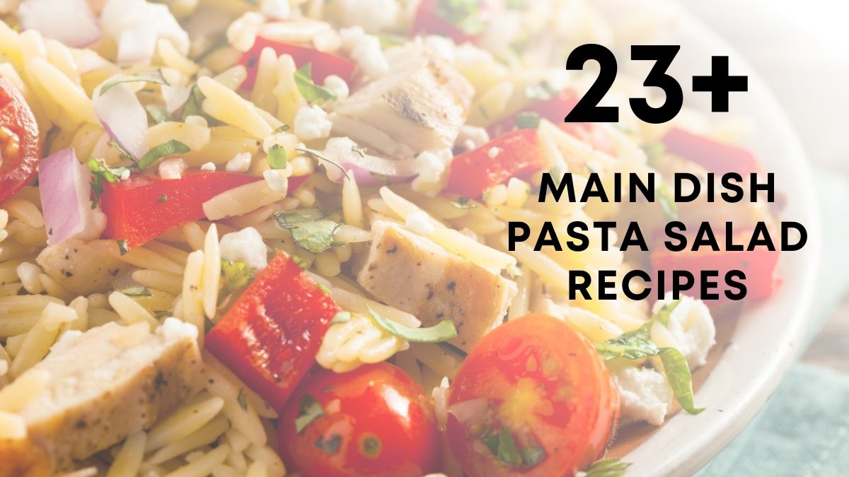 Main Dish Pasta Salad Recipes