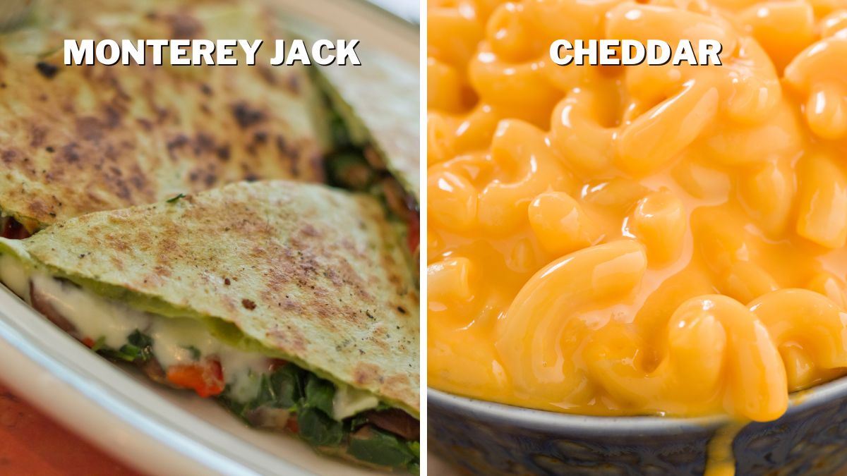 Monterey Jack in quesadillas and Cheddar in Mac Cheese