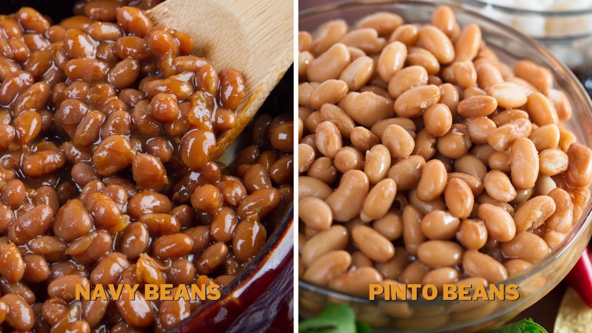 Navy Beans vs. Pinto Beans