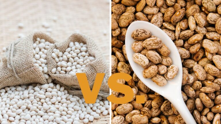 Navy Beans vs. Pinto Beans: Differences & Which Is Better?