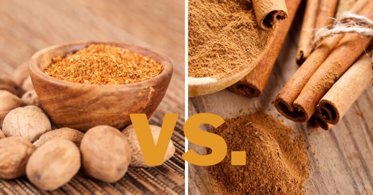 Nutmeg vs. Cinnamon: Differences & Uses