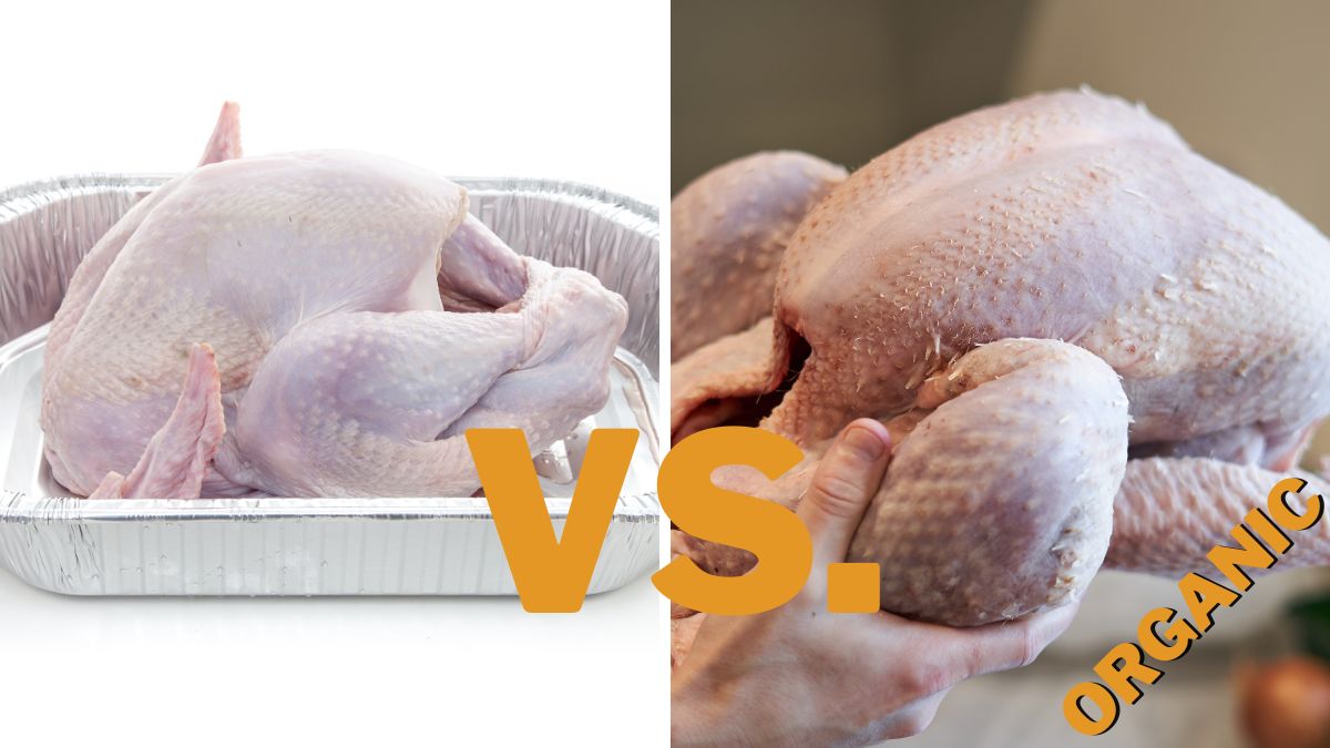 Organic Turkey vs. Regular Turkey