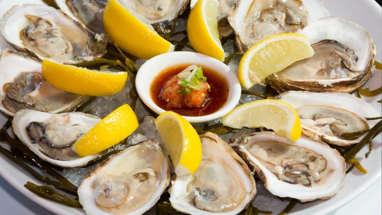 Oysters 1