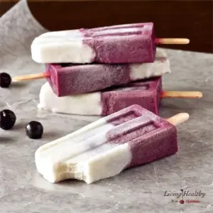 Paleo Dairy free Blueberry Vanilla Yogurt Popsicles