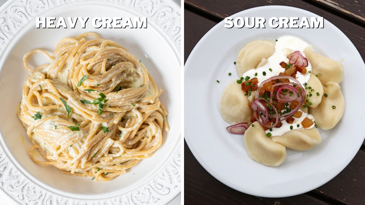 Pasta with heavy cream and pasta with sour cream
